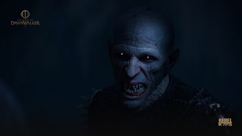 The Blood of Dawnwalker получит режим New Game Plus, подтвердил Rebel Wolves